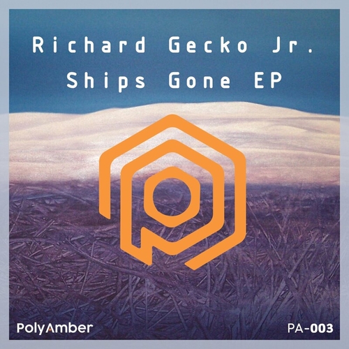 Richard Gecko Jr. - Ships Gone [PA003]